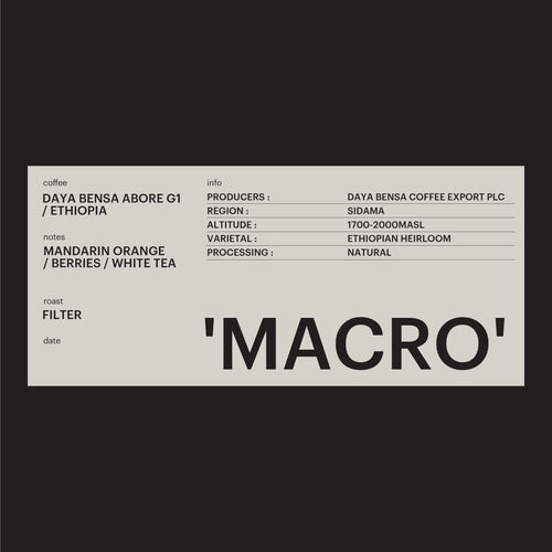 FILTER - DAYA BENSA ABORE, ETHIOPIA / 'MACRO'