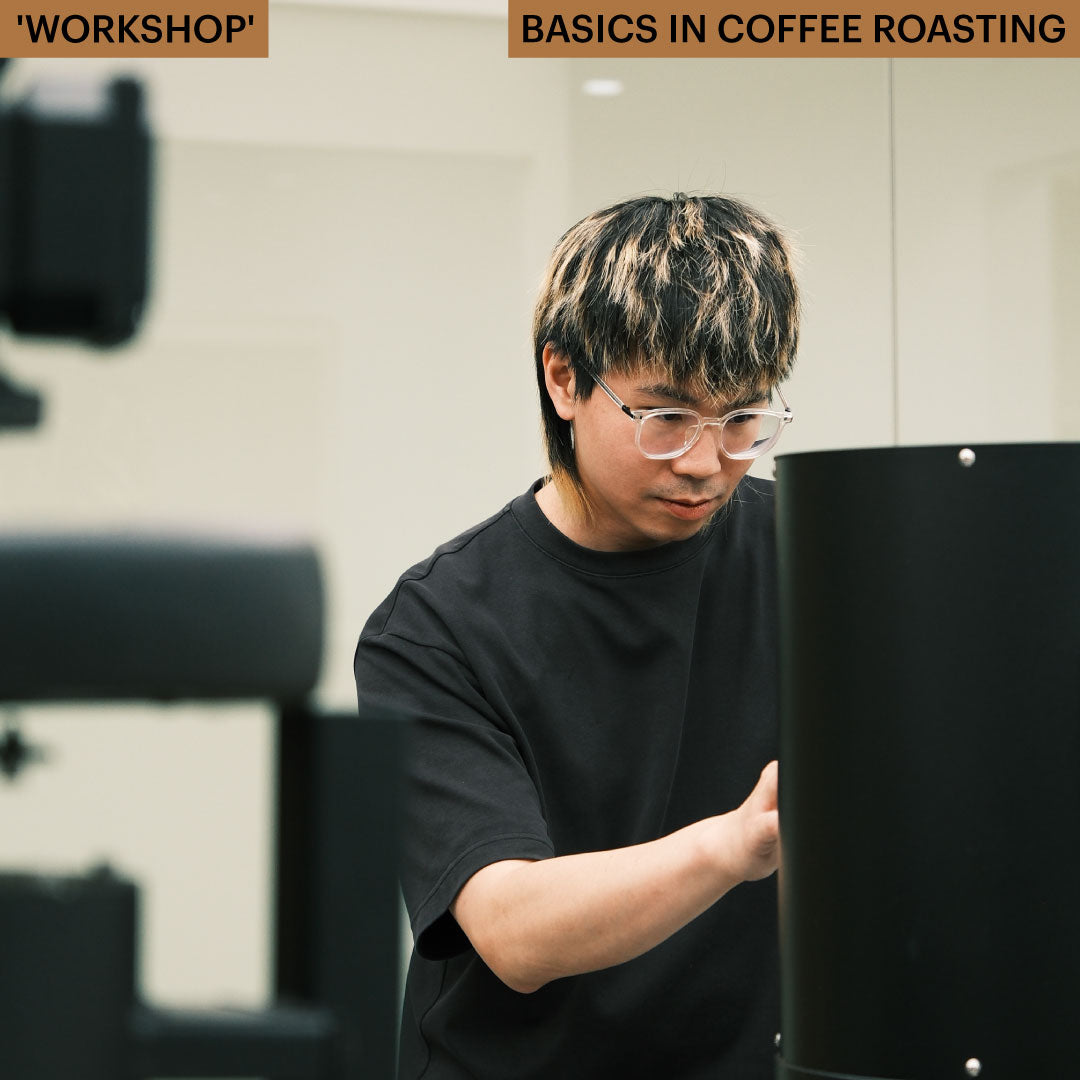 WORKSHOP - BASICS IN COFFEE ROASTING
