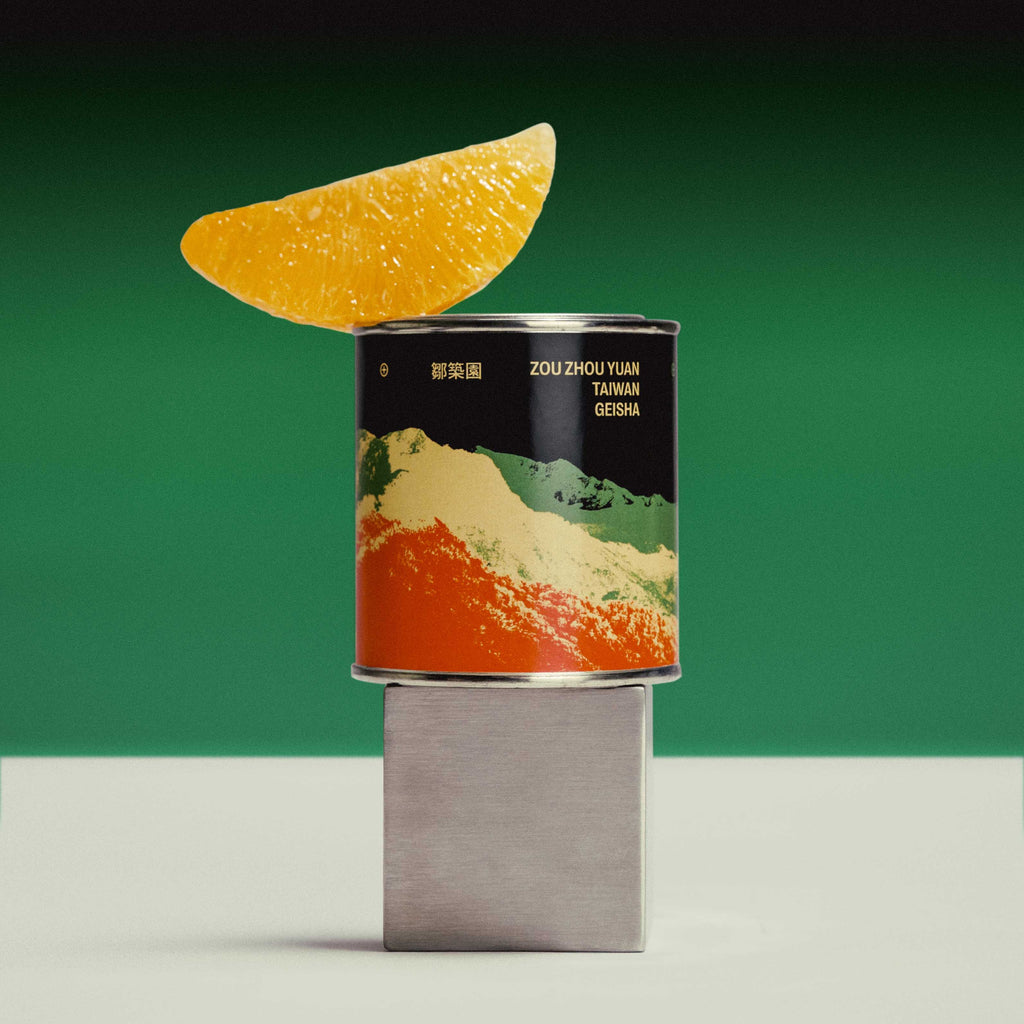 FILTER - ZOU ZHOU YUAN / 'RARE FIND' VOL.05