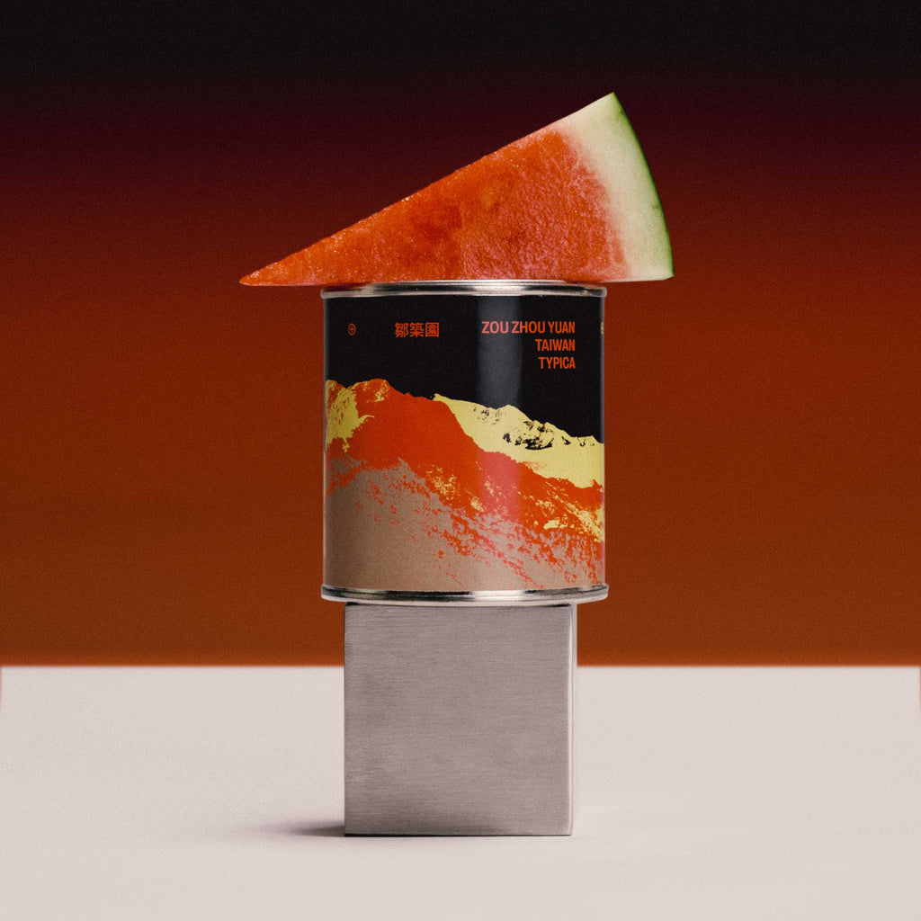 FILTER - ZOU ZHOU YUAN / 'RARE FIND' VOL.05