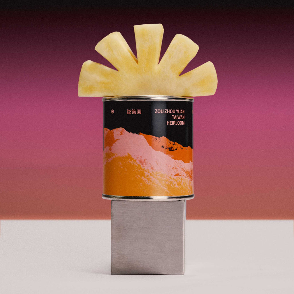 FILTER - ZOU ZHOU YUAN / 'RARE FIND' VOL.05