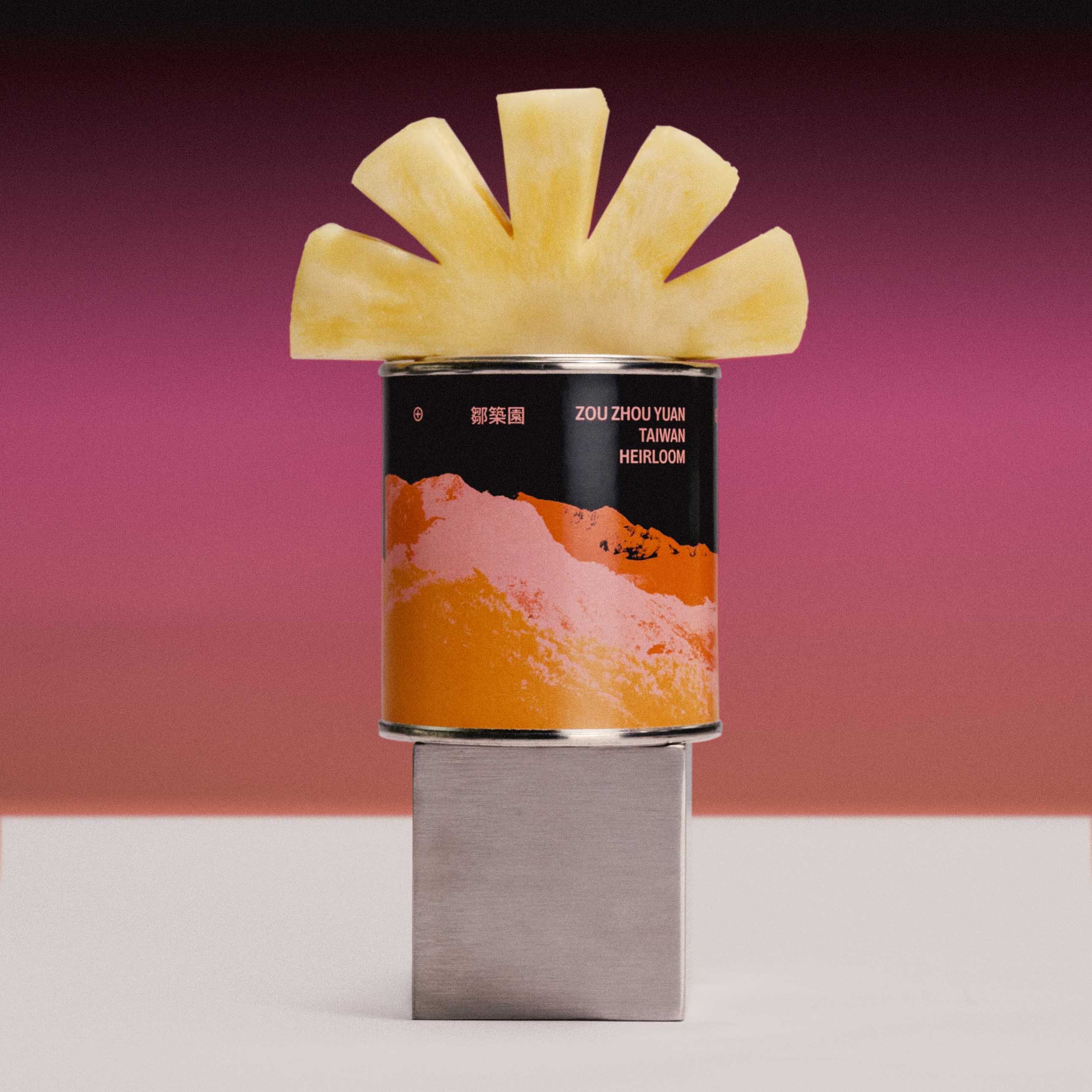 FILTER - ZOU ZHOU YUAN / 'RARE FIND' VOL.05