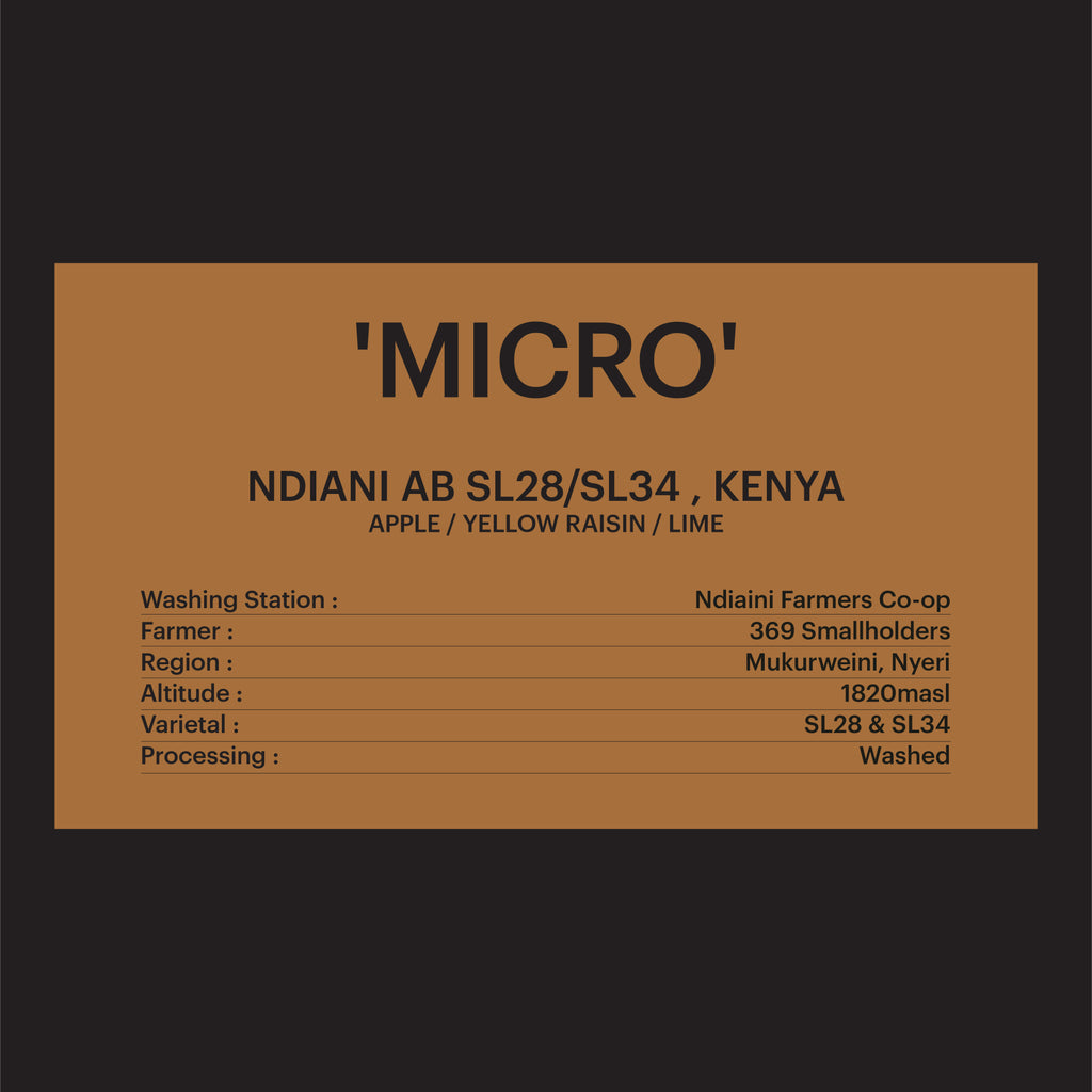 DRIP BAG - NDIANI AB SL28 & SL34, KENYA / 'MICRO'