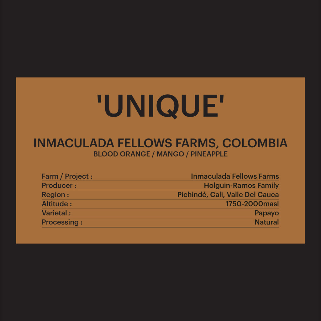 DRIP BAG - IMMACULADA FELLOW FARMS, COLOLMBIA / 'UNIQUE'