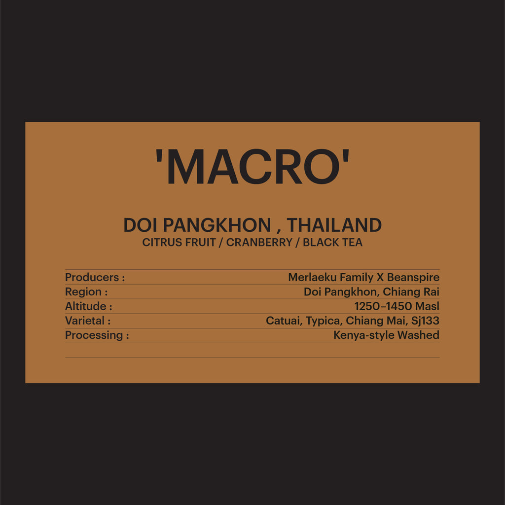 DRIP BAG - DOI PANGKHON, THAILAND / 'MACRO'