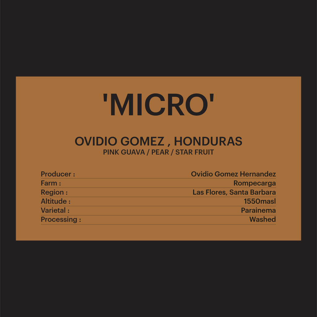 DRIP BAG - OVIDIO GOMEZ , HONDURAS / 'MICRO'