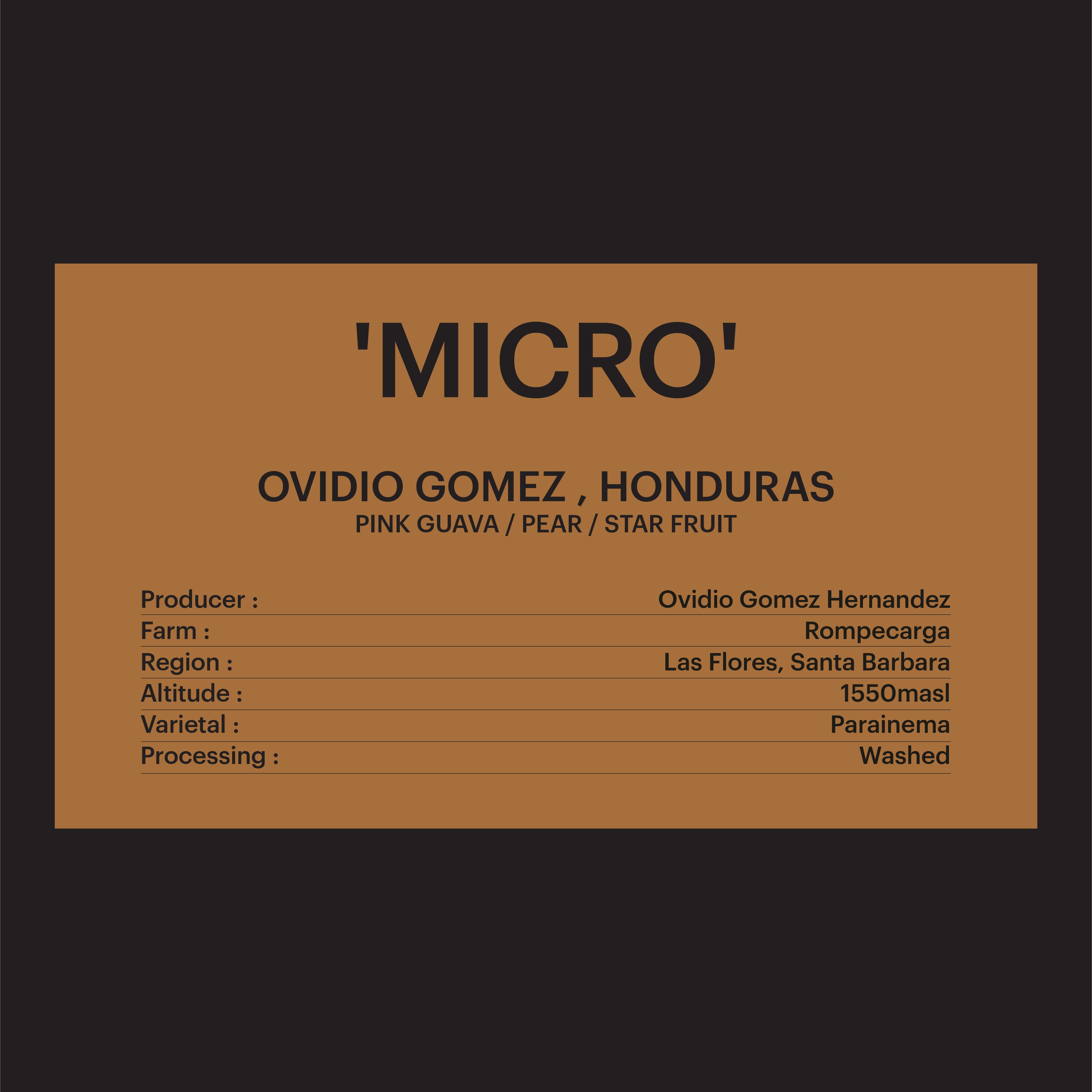 DRIP BAG - OVIDIO GOMEZ , HONDURAS / 'MICRO'