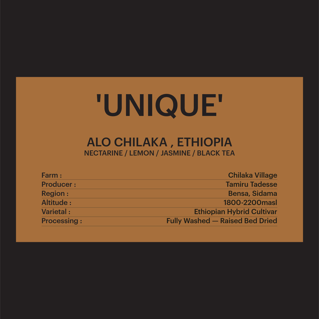 DRIP BAG - ALO CHILAKA , ETHIOPIA / 'UNIQUE'