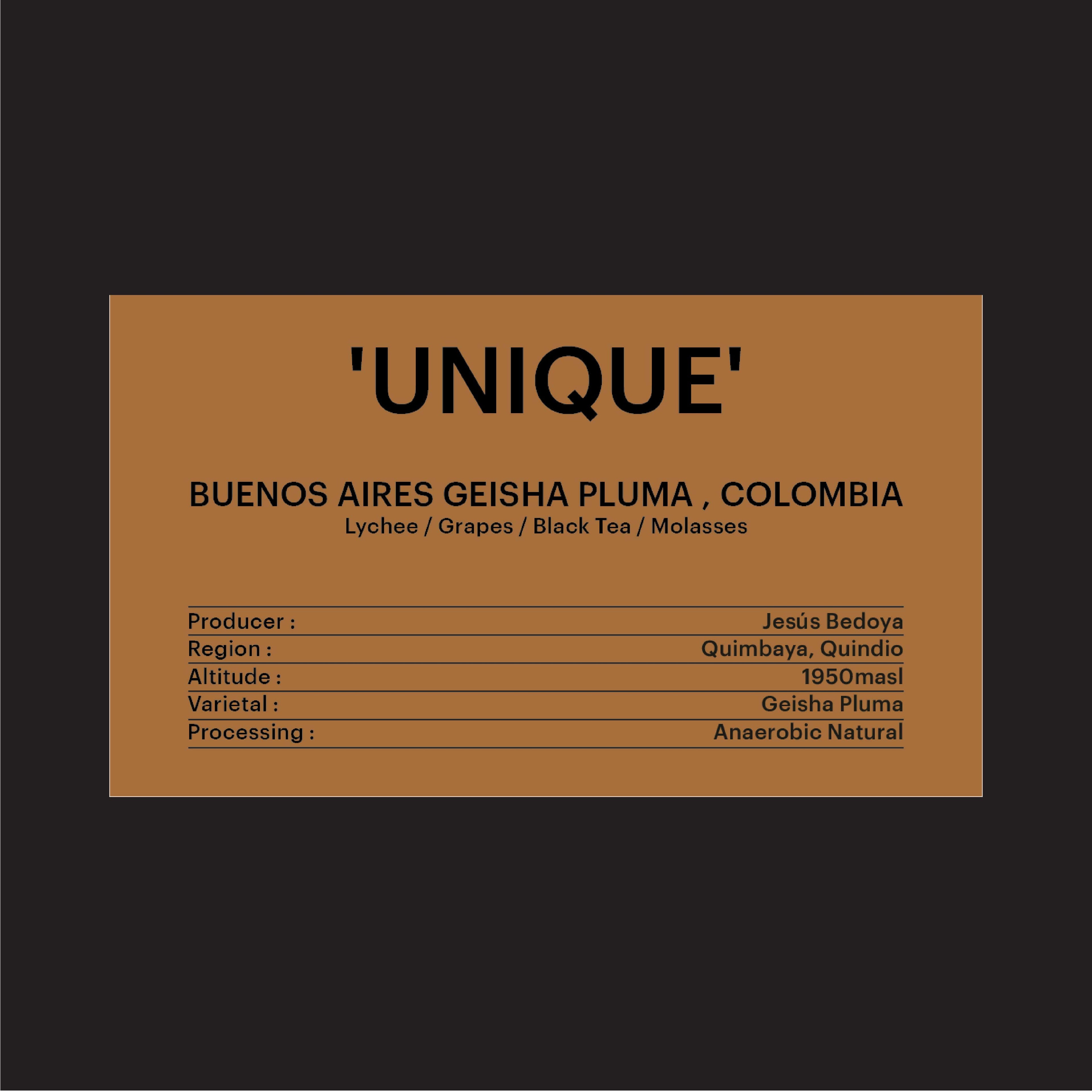 DRIP BAG - BUENOS AIRES PLUMA GEISHA, COLOMBIA / 'UNIQUE'