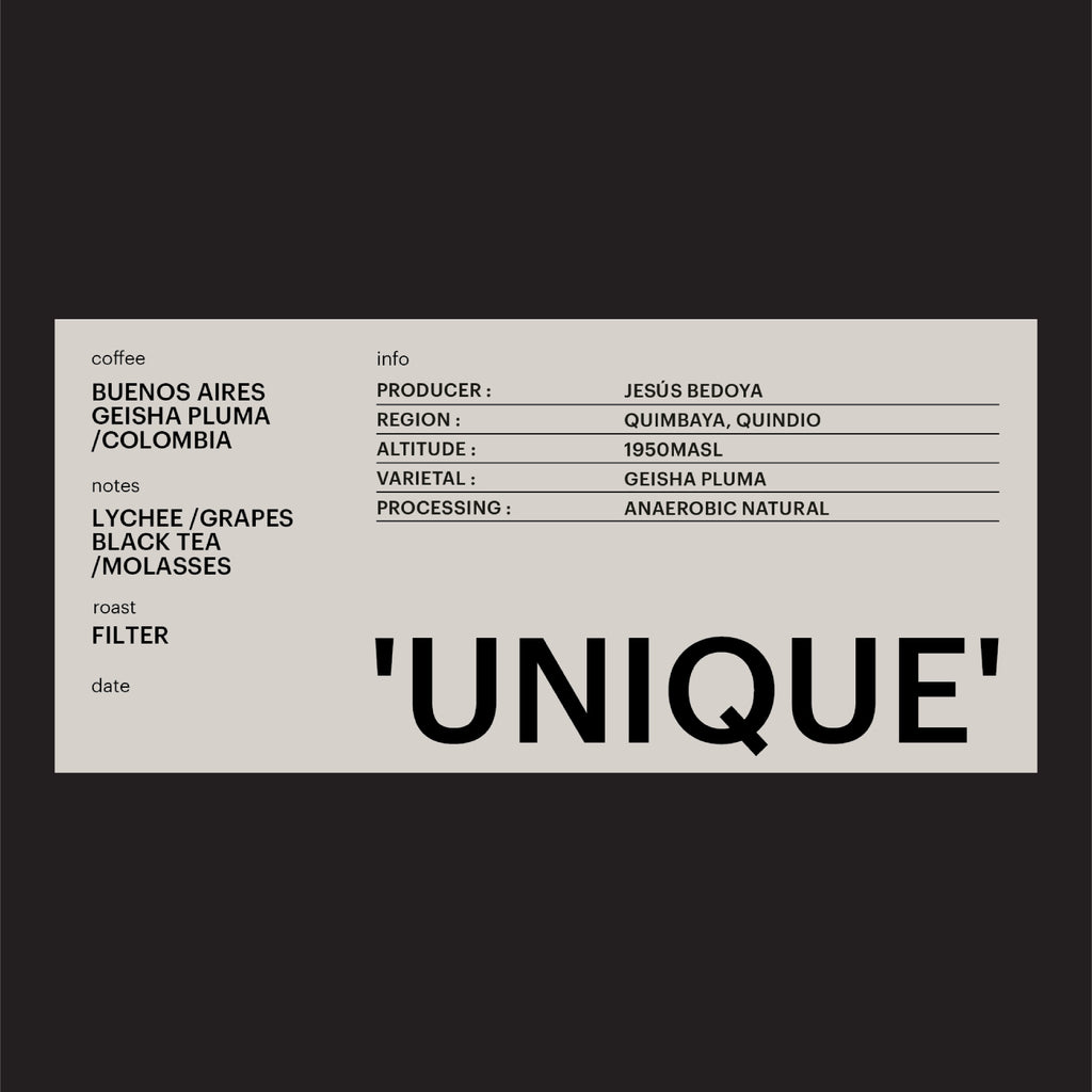 FILTER - BUENOS AIRES PLUMA GEISHA, COLOMBIA / 'UNIQUE'