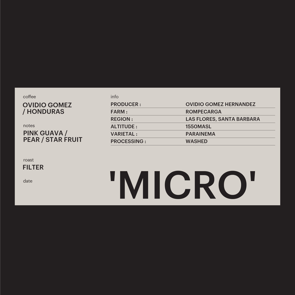FILTER - OVIDIO GOMEZ, HONDURAS / 'MICRO'