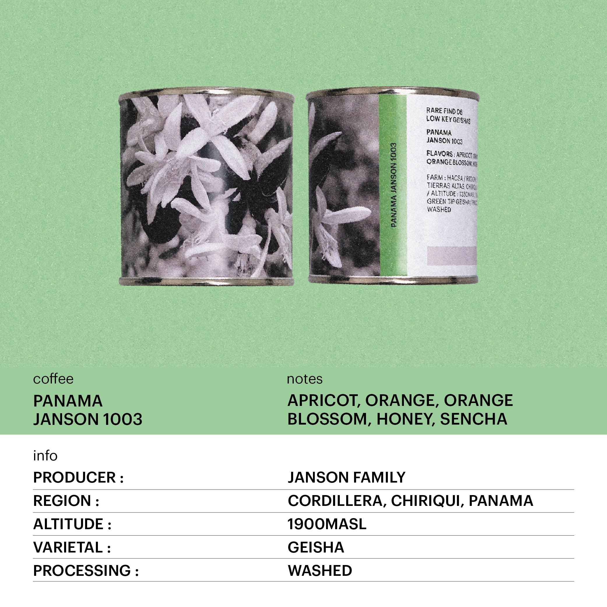 FILTER -  LOW KEY GEISHAS/ 'RARE FIND' VOL.06