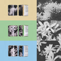 FILTER -  LOW KEY GEISHAS/ 'RARE FIND' VOL.06