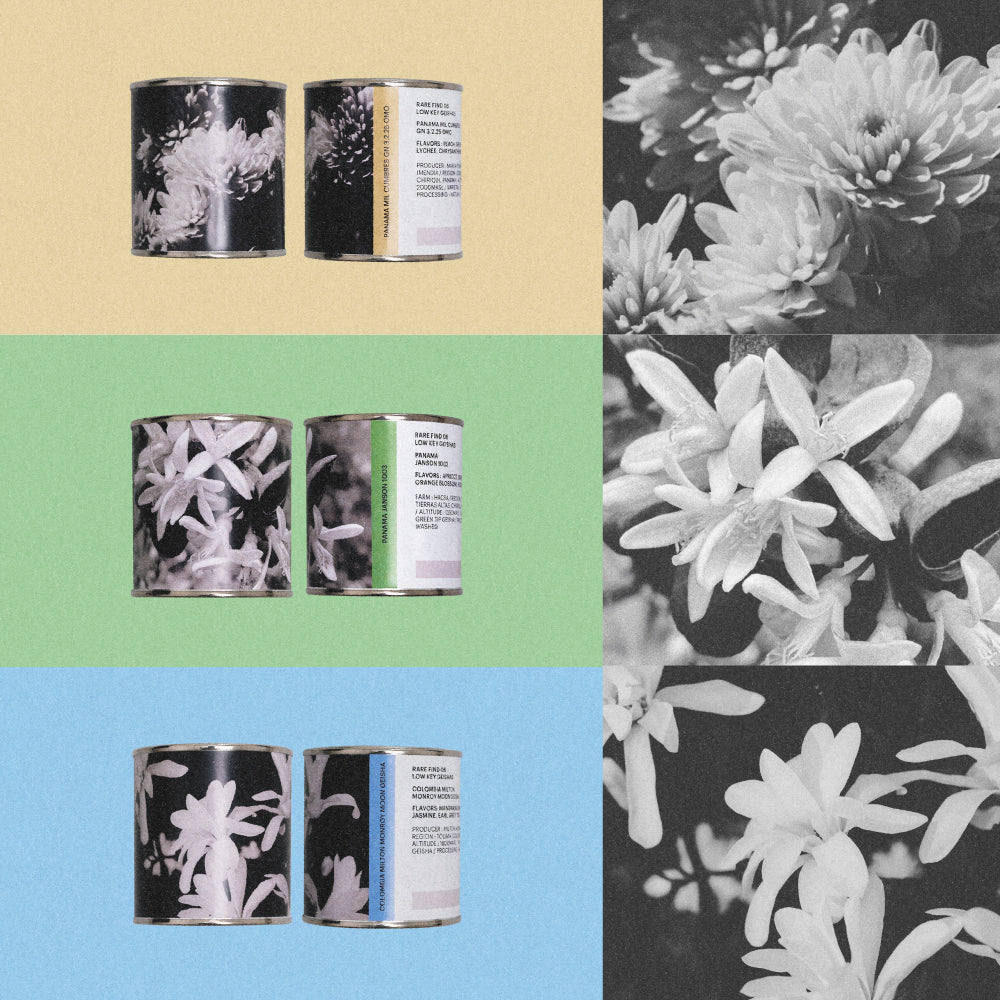 FILTER -  LOW KEY GEISHAS/ 'RARE FIND' VOL.06